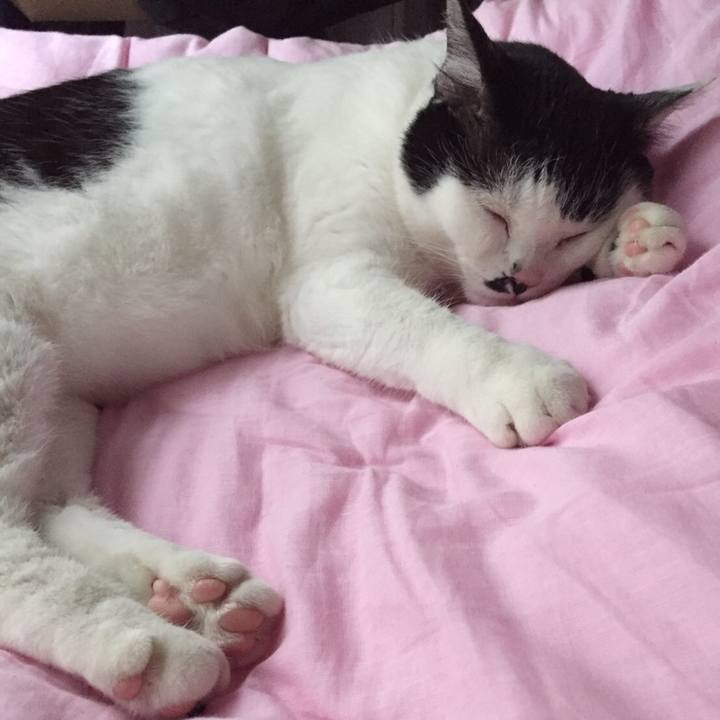 81d2fd23 fe24 4cb0 940b 88792e78c3f5