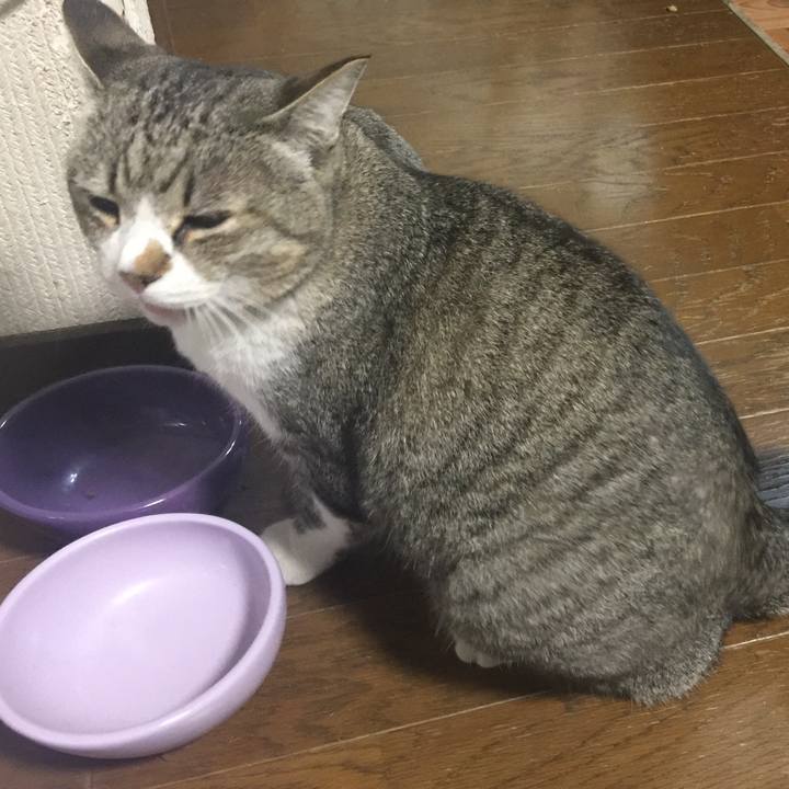 81d31c95 7528 4960 b433 dbc07429a9b0