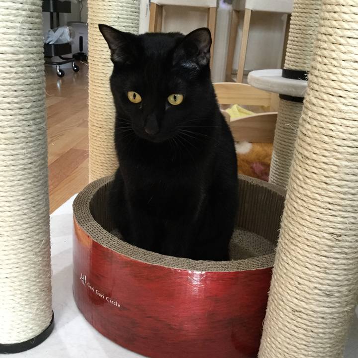 81d35a6c b0dc 41c5 aac6 8ad3c68f793a