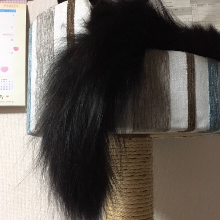 81d35b14 af7a 47e6 a741 cd5cbe98a428