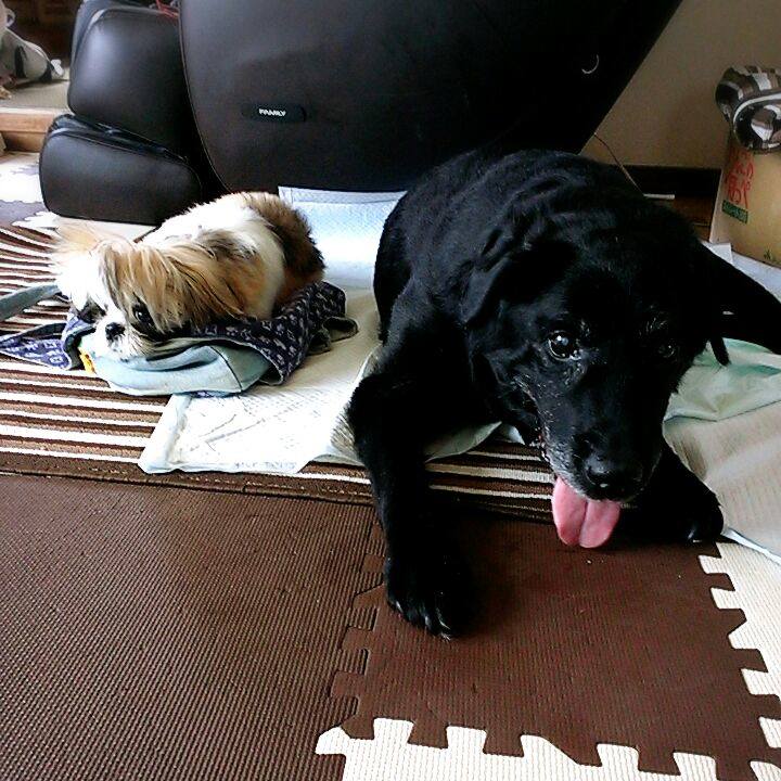 81d47642 8d02 47ce a43e e32e0ac33ca5