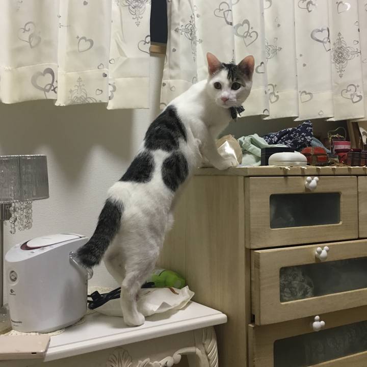 81d4b5b4 2f52 4f92 bbf4 1f9cc09c9cc1