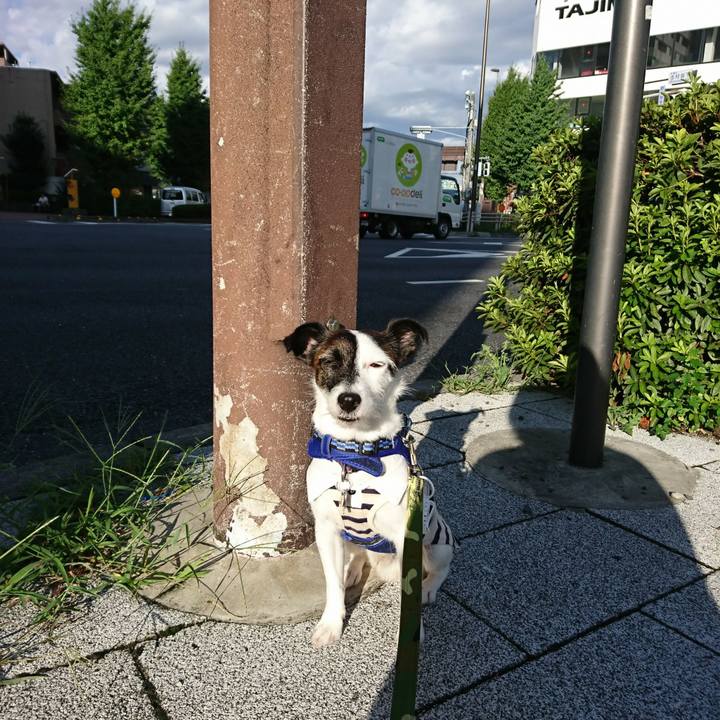 81d4c142 0871 4d20 94f6 cb0c8cc540ff