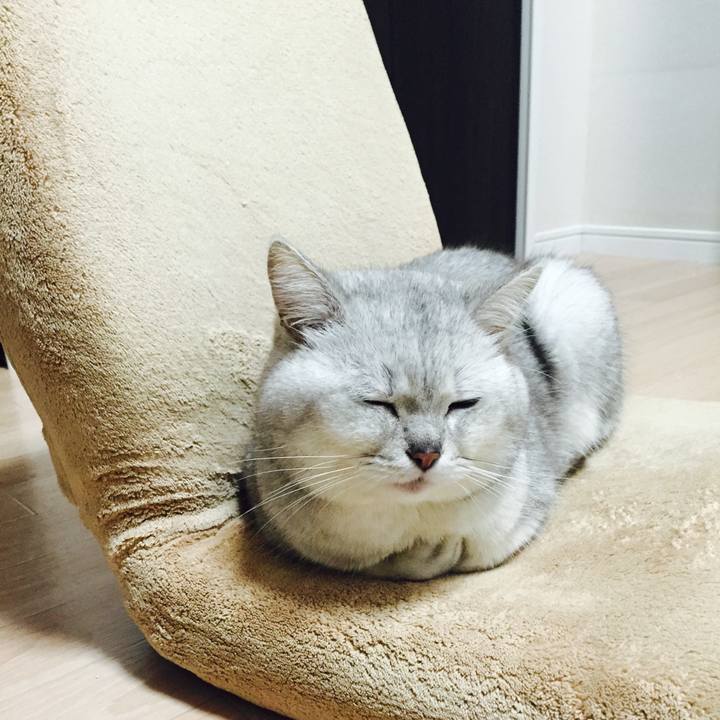 81d4eb7c c780 4750 a7b7 8d9fe44df515