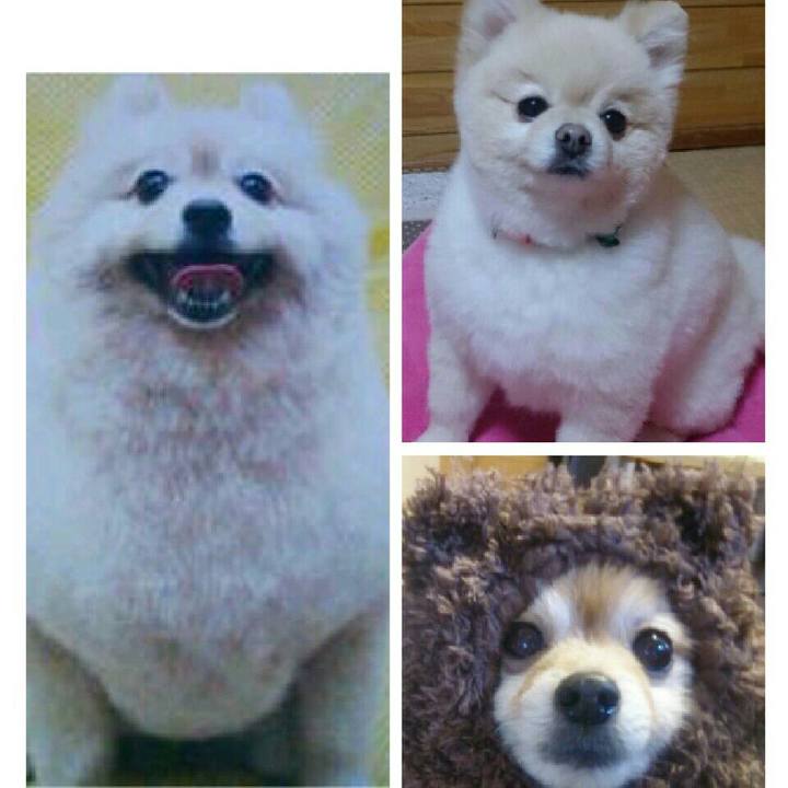 81d4edef 2003 417f bb94 5fd9ab7ac128