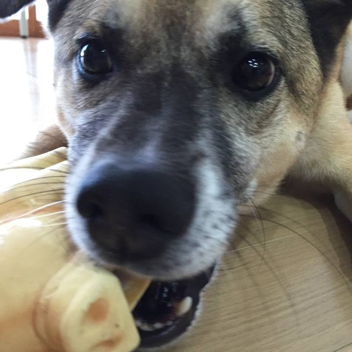 81d4ff9e c0b8 48a6 802d 8d4fbdc22d76