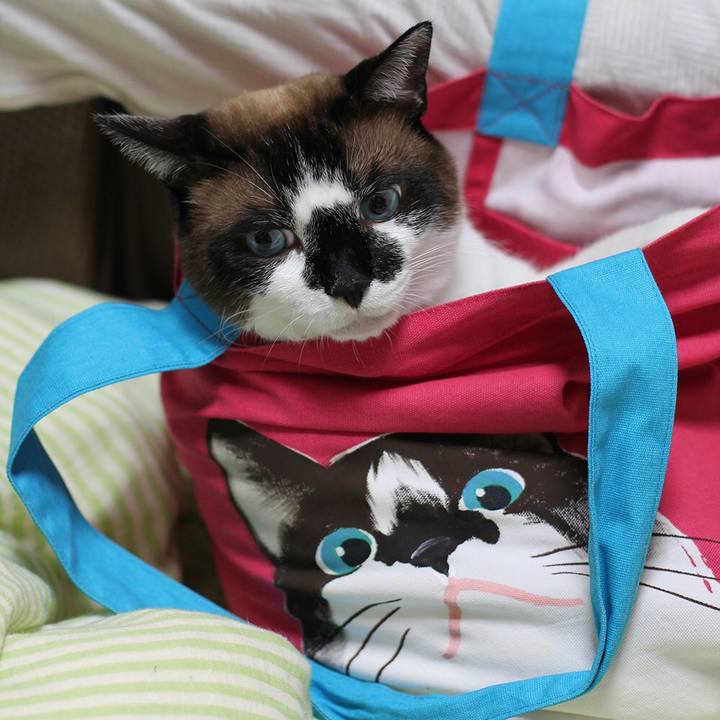 81d58e5e 31a4 49ac a974 2920df757ba3