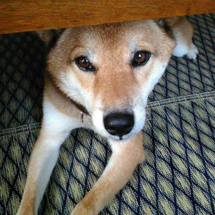 81d5e6be e123 4ca9 821e 6ff02fa03f0f