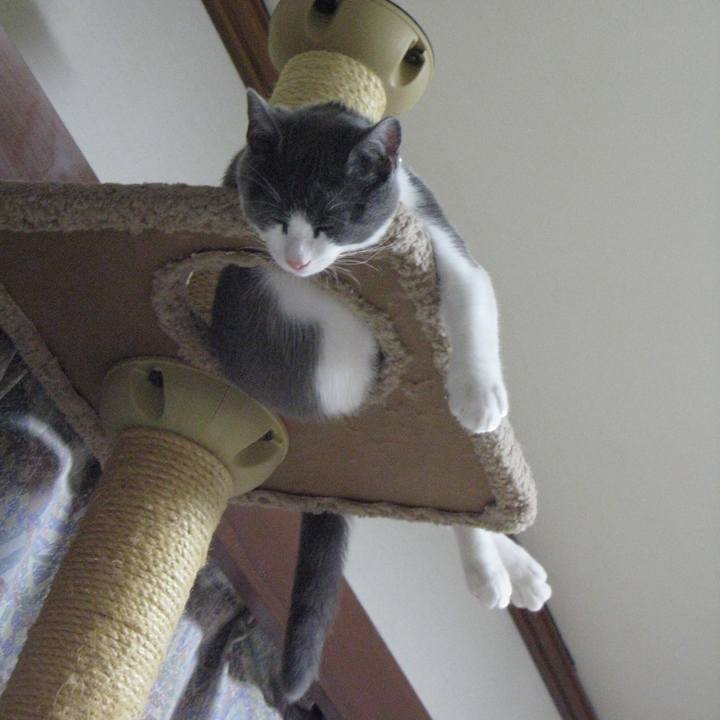 81d614be ca23 4b6d 9968 73eb7f469688