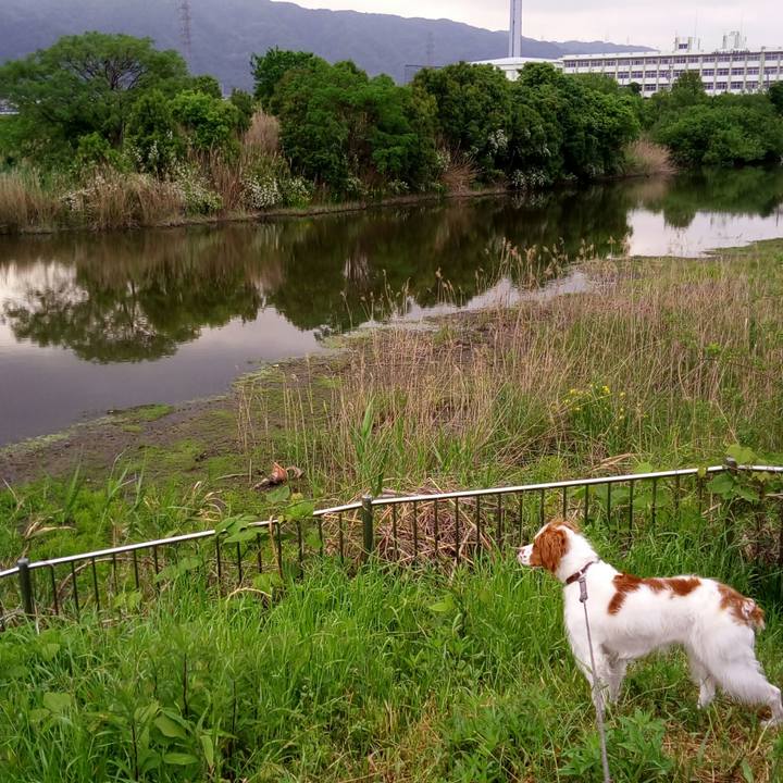 81d6476a d124 49a2 b6bb ef8c5c20f230