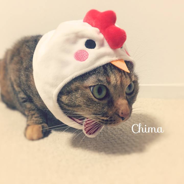 81d6b7b9 2e72 4ae8 8806 e3a6ed0d4bbf