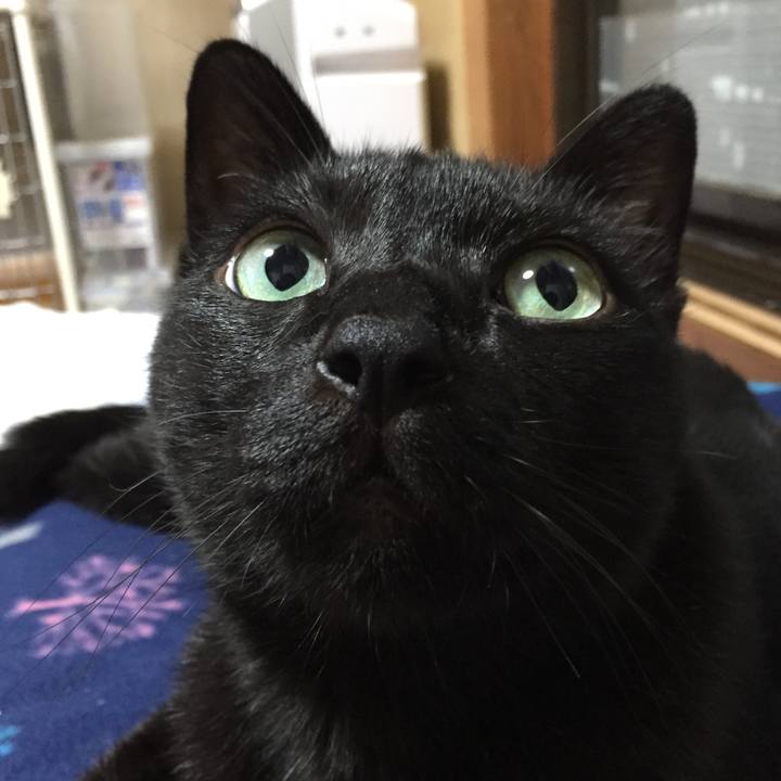 81d70db3 9fc9 46d1 b0b5 c802ca31b888