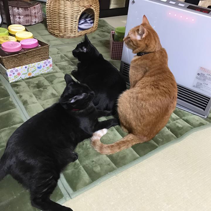 81d73f9a 5671 4445 af18 164d324e2969