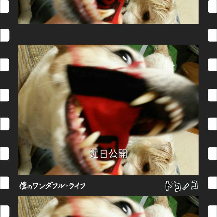 81d764e1 d185 4739 a0f8 406e2aaaeb32