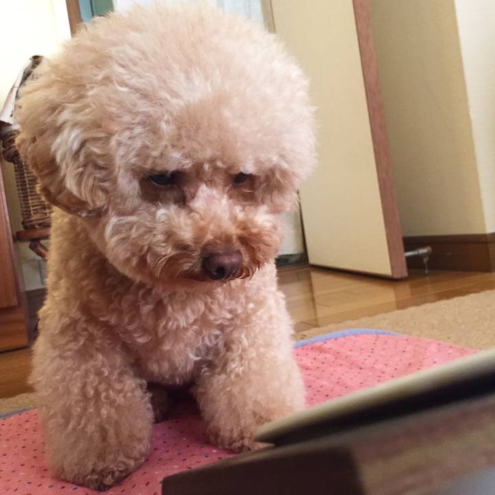 81d7d0cb 22e2 4af8 929e 132caad54ca9