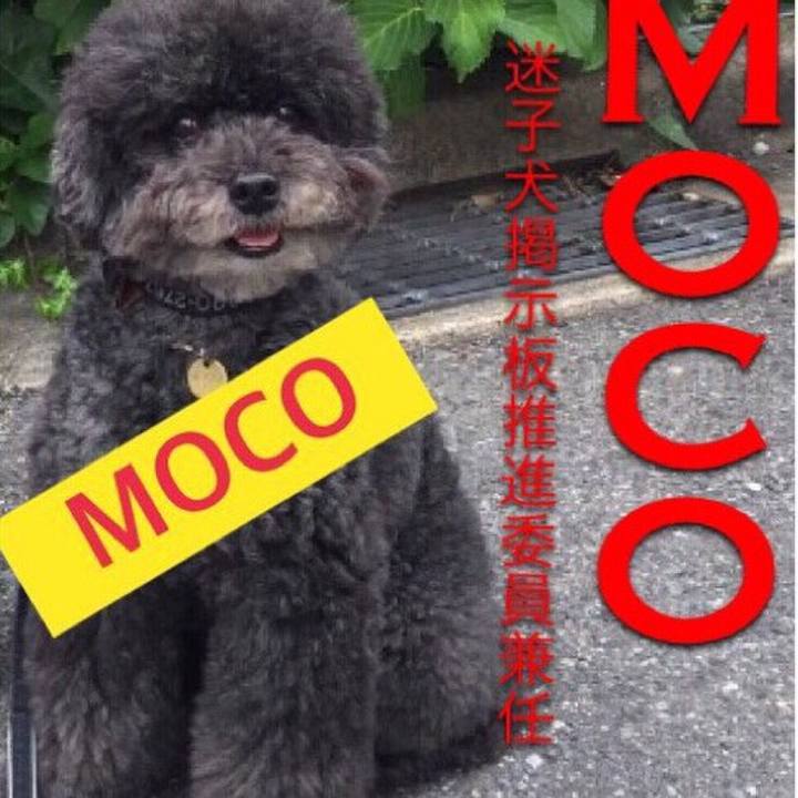 81d8a3ba 427f 45b6 b5b3 593950b3e01b