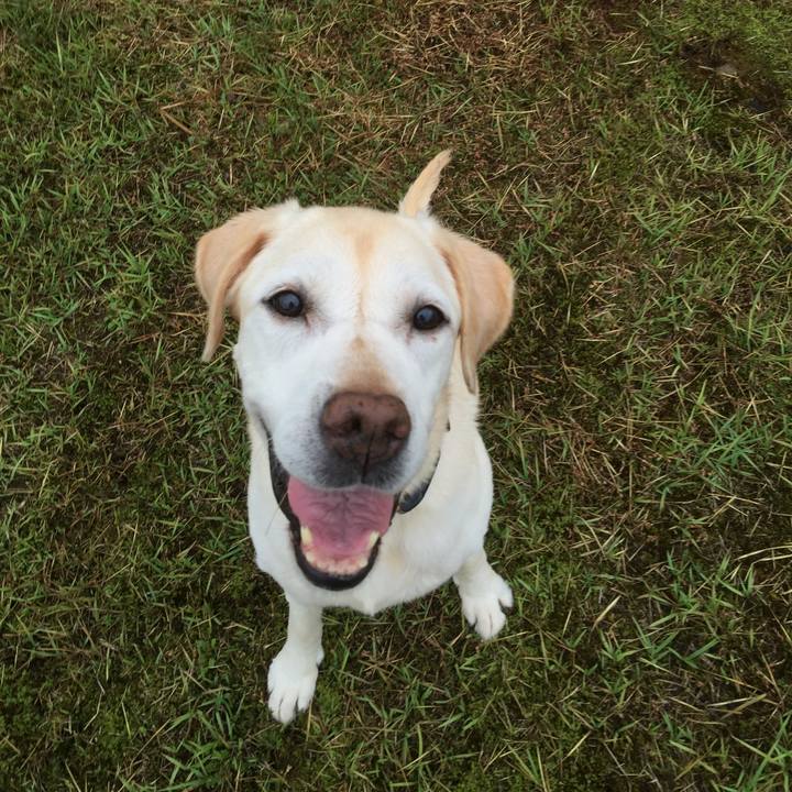 81d8cbdc 4d4b 4932 ad4c 99e17c6523b9