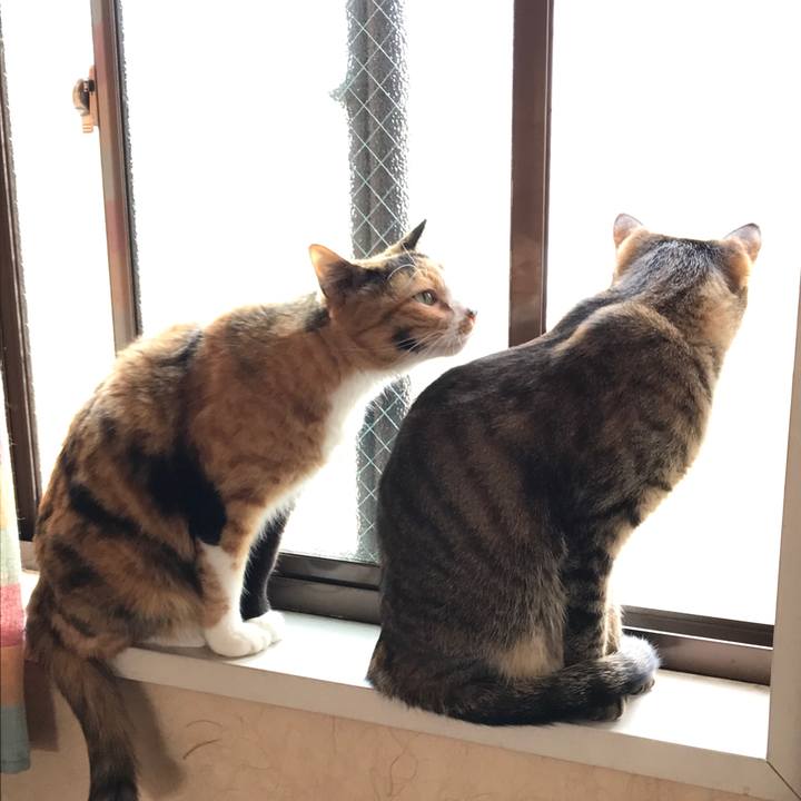 81d8ddb8 98fb 4c14 9908 844fb22f54f5