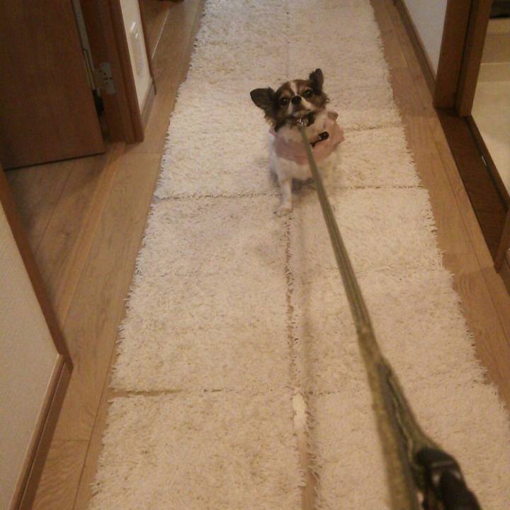 81d93aed 6663 4145 9465 8bdbd92fd693