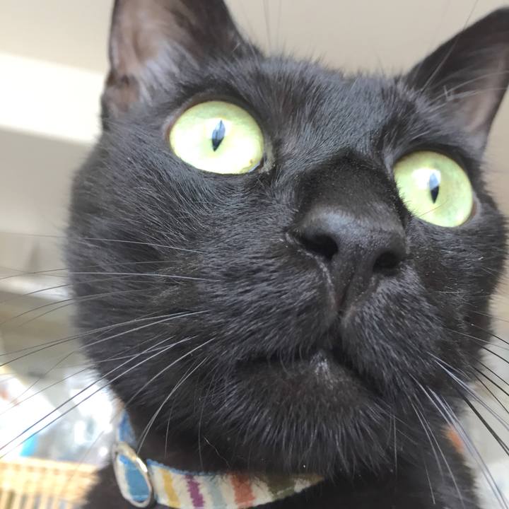 81d9c1c2 5008 4317 bf1f 6dd9f9d56279