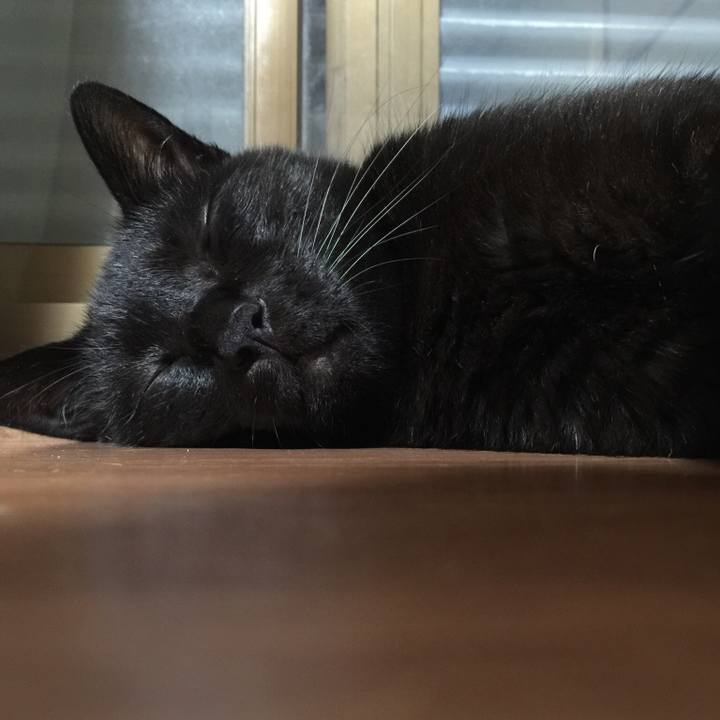 81dab27f 57b4 495d 8791 a9263f2805ed