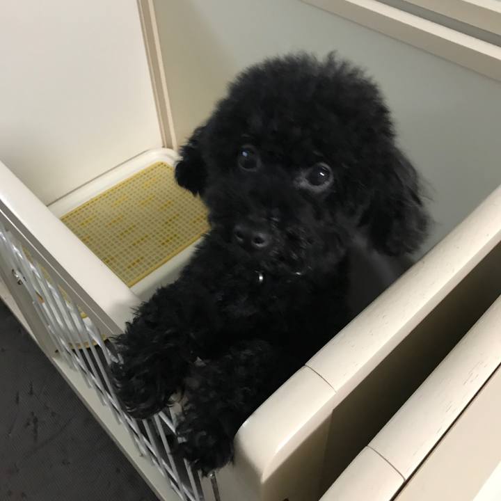 81dab4d5 ce00 415a b66c 6f5915ffd5b3