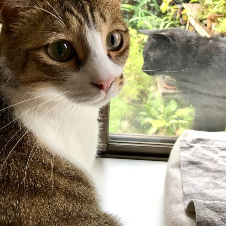 81db2276 4023 441e b5ef b0df35ab955e