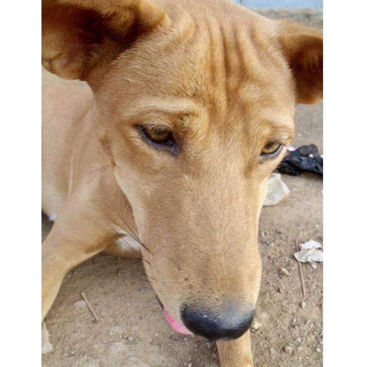 81db7b97 2c52 477d ba07 e04504ff2578