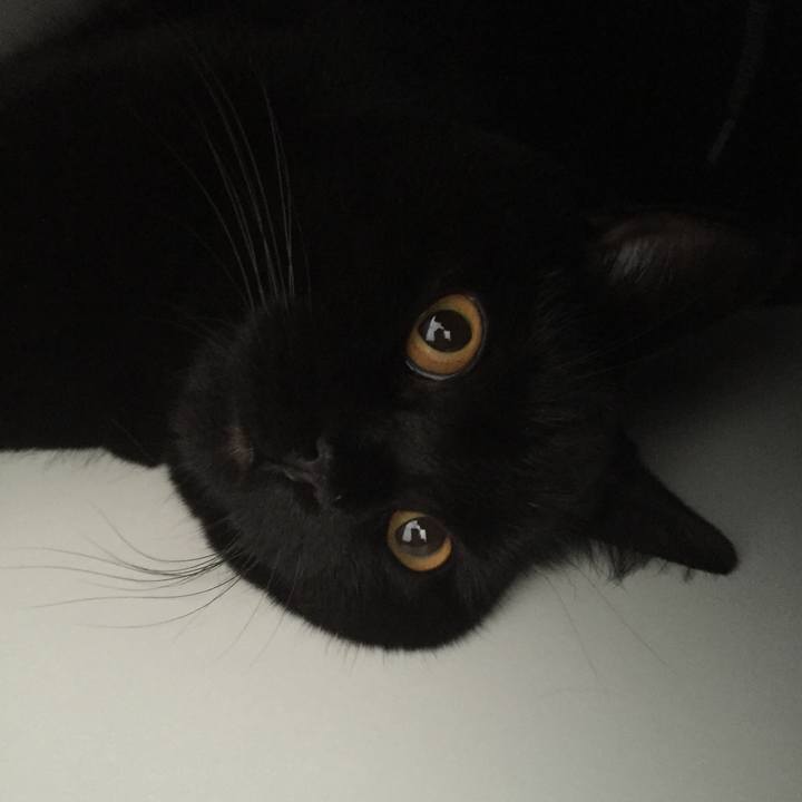 81dc30a9 5e46 4176 b259 39640f65e7fe