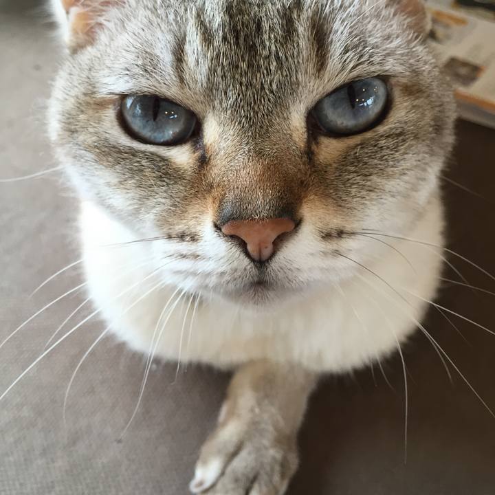 81dc44ba f9da 45f8 9e1a ef49e465cde4