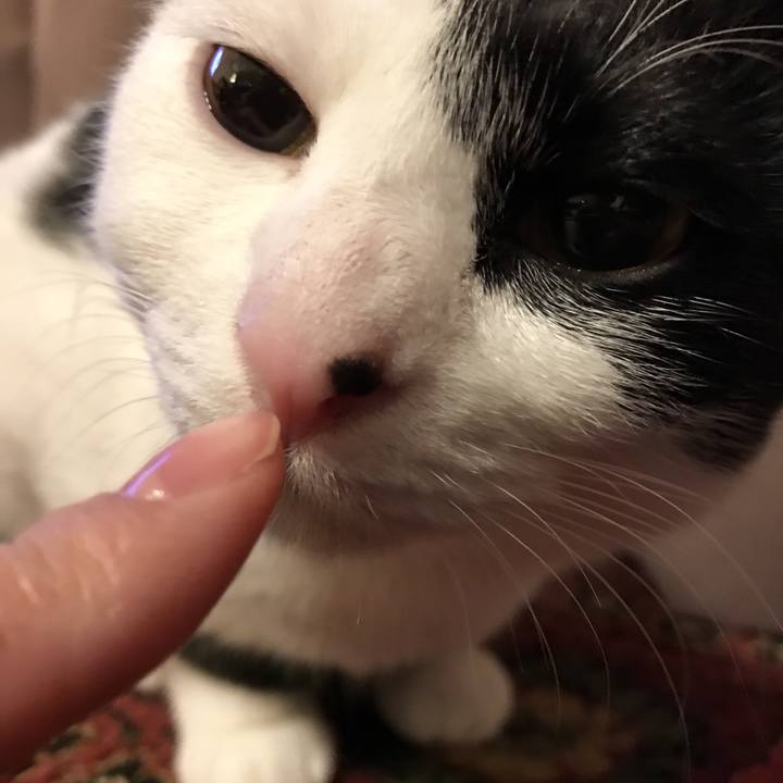 81dc7cb8 f372 4aa3 988c b980c20a3759