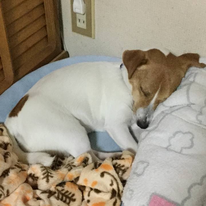 81dca271 a337 4a5d b839 a43f718346ff