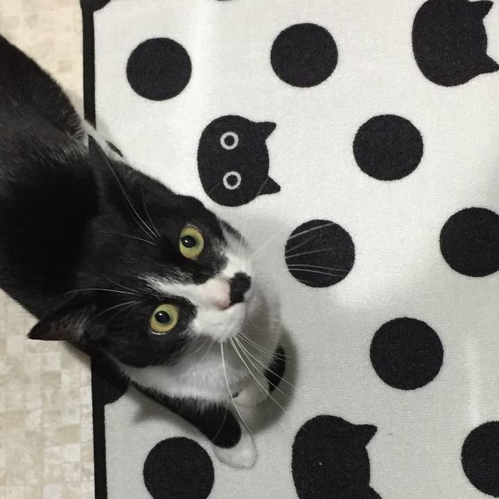 81dd654d b1c9 44cd 9d9a e17cfa305942