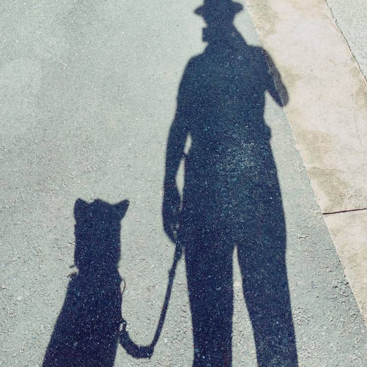 81df39c7 c225 4335 ab82 9bab208adf95