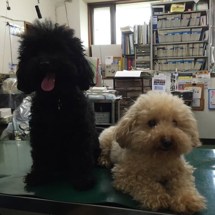 81df4a9c f7ad 4b48 97e7 87836a68298c