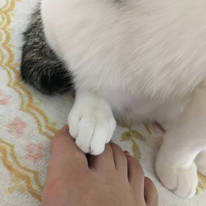 81df8890 d621 4197 971d f81492bcf6c5