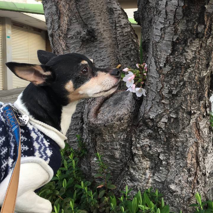 81dfdf9e 847c 492c 93bd f7e3532ed24d