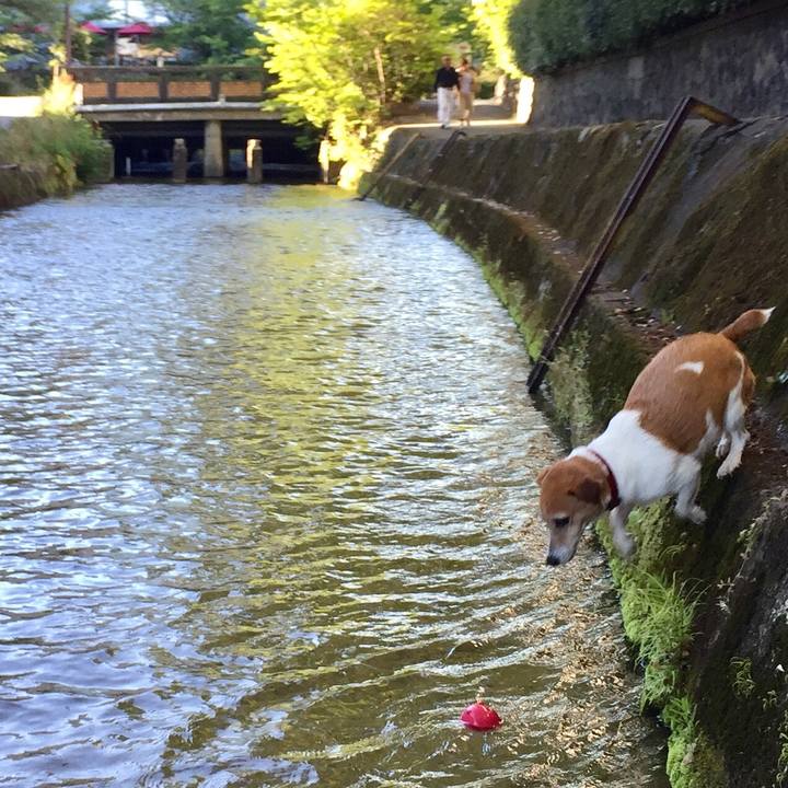 81e11cb5 3a2d 4086 8a4d a9b0d8cea6f5