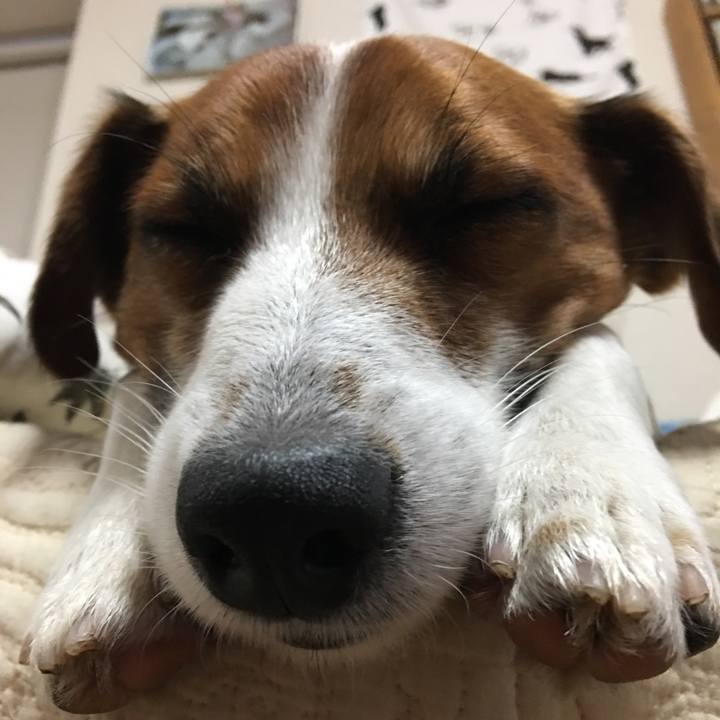 81e15c12 4630 43c7 9870 b49e8227983f