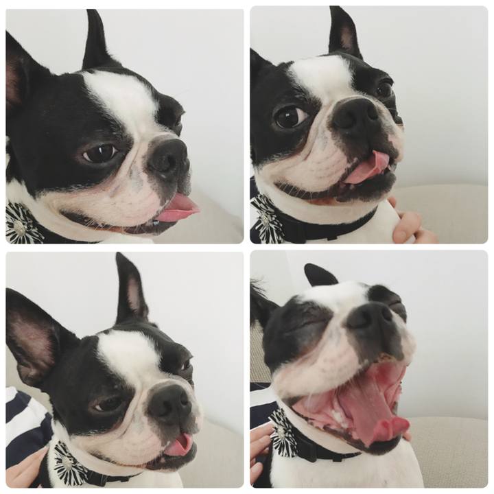 81e1b729 aecc 4df6 94df 632163526fe8