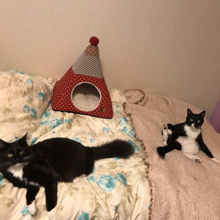 81e1d110 e1dc 4ba9 ba92 3c37cea2f9f3