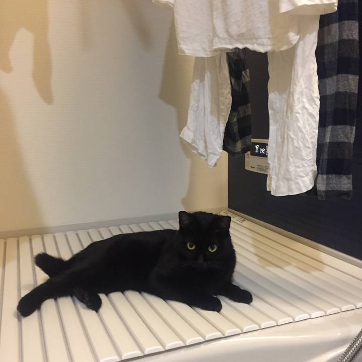 81e26739 ee10 4651 a1b1 7e0d8f2dd82a