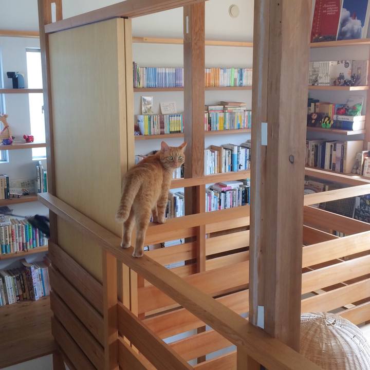 81e27ad3 aac1 428f bbd8 6aeea2f160fe