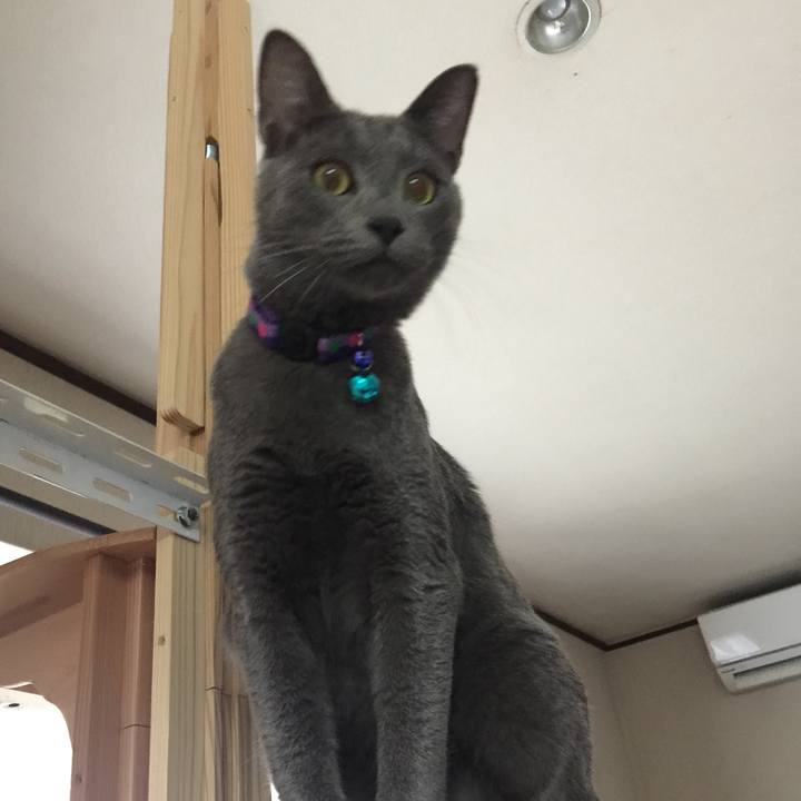 81e2b733 a1f0 4ac0 ac16 288c97fce4d5