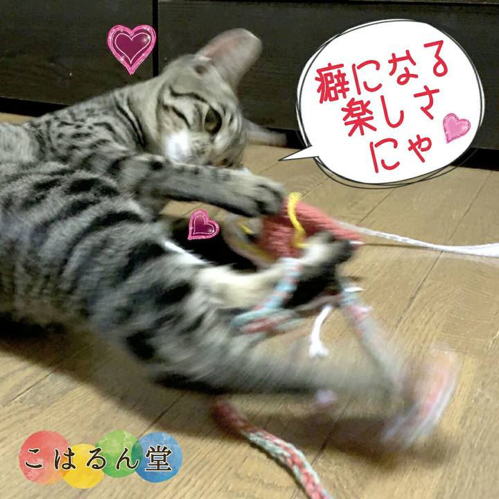 81e2db3c ebb7 4783 a03f 05efa80e7246