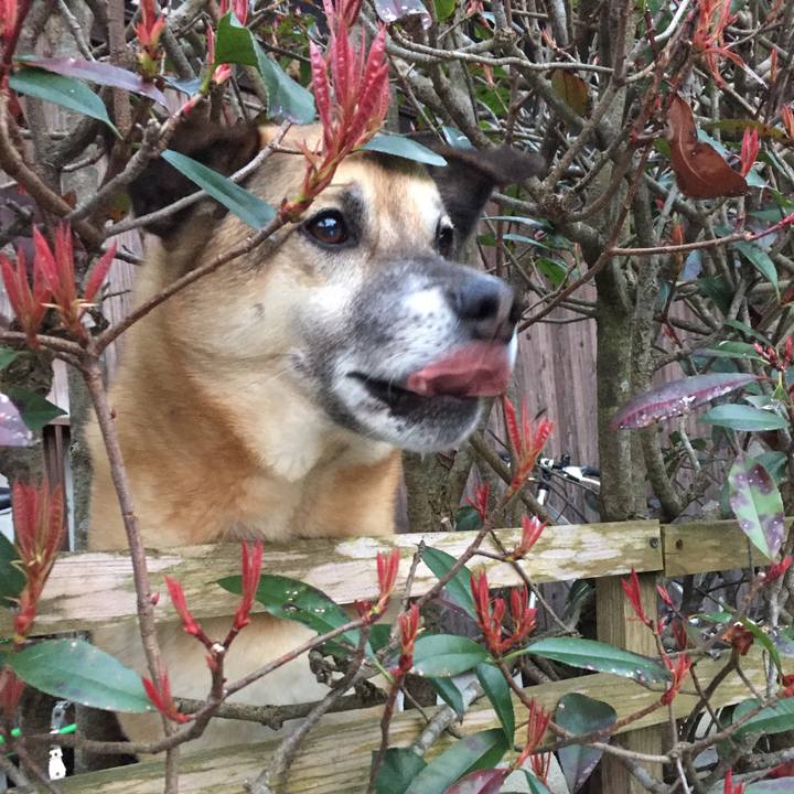 81e37185 335e 4a66 a4c3 9273c64b646e