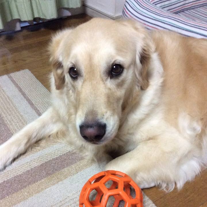 81e47869 326b 4a30 afe3 82376a14dfff