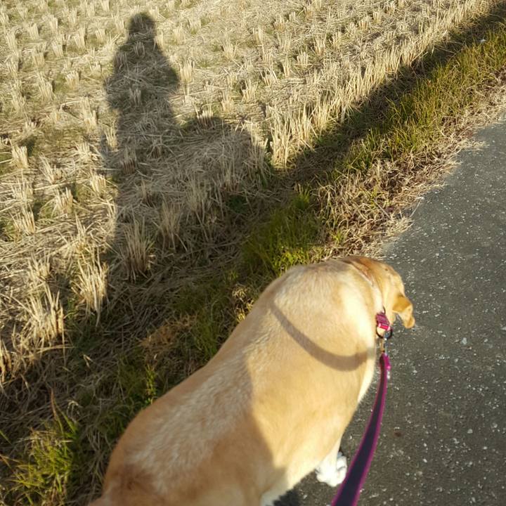 81e5b116 9a57 42ae bc77 f0e97aae10bf