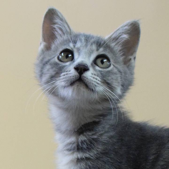 81e66cda 0602 4487 ba35 eca294f027eb