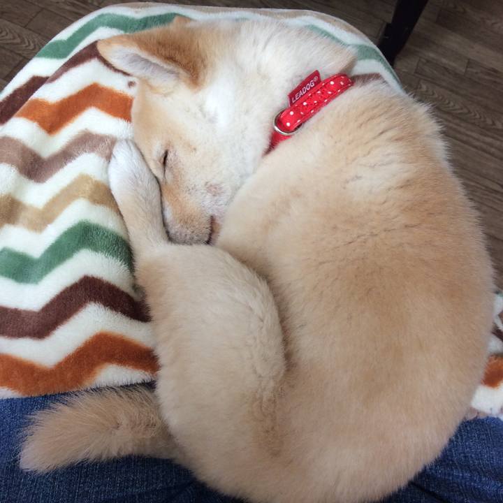 81e7022e ce74 4594 8d74 6af1542cbea7